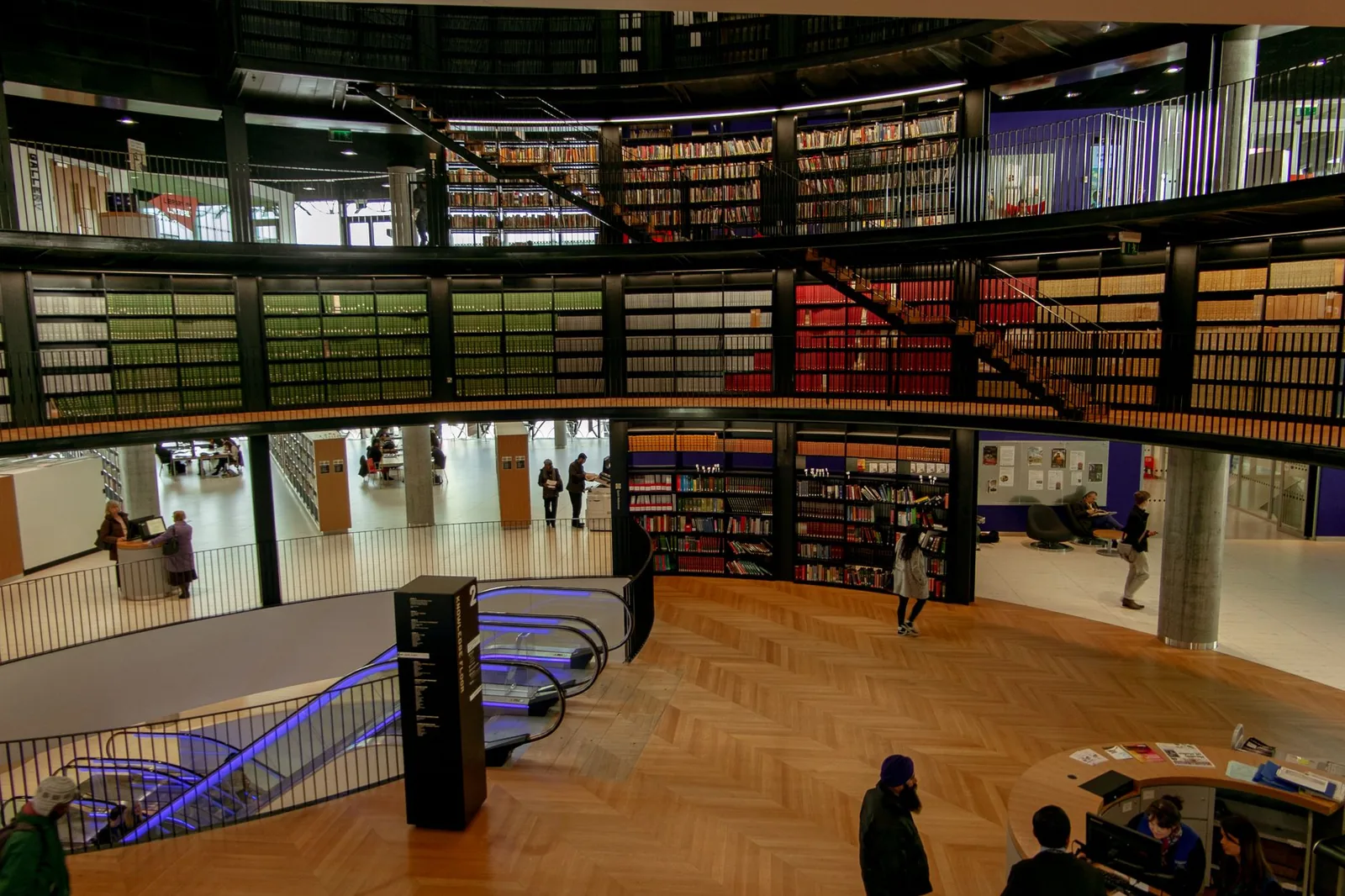 Modern library and learning space with study tables